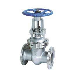 Gate Valve SS304 with Manual Handle